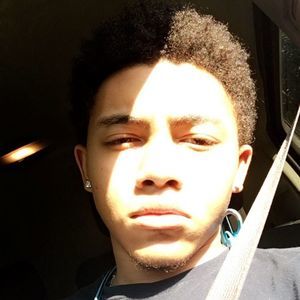 Meet your Posher, Walt